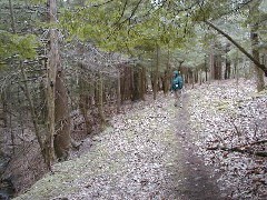 Ruth Bennett McDougal Dorrough; Hiking Day Trips FL Land Trust Preserves Wesley Hill